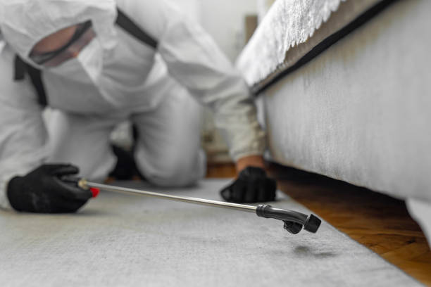 Professional Termite Control technician working in Dublin, PA