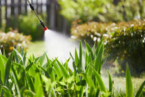 24/7 Emergency Termite Control experts in Dublin, PA