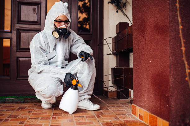 Reliable Termite Control contractor in Dublin, PA by Nex Pest Control