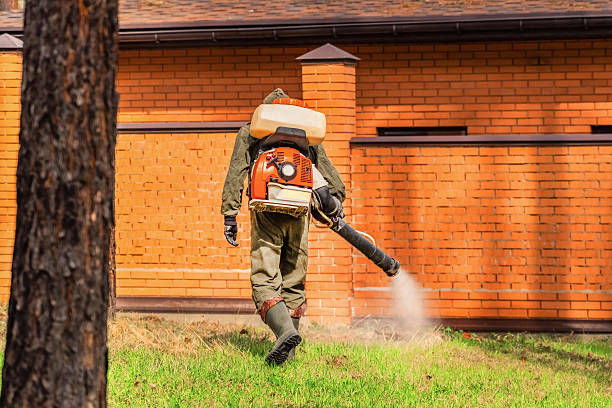 Top rated local Termite Control specialists in Dublin, PA